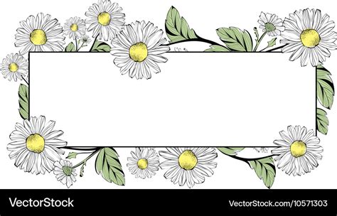 Daisy flower border Royalty Free Vector Image - VectorStock