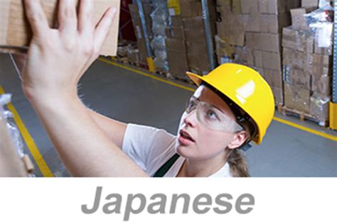 PureSafety On Demand Safety And You Japanese