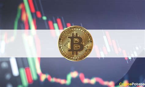 Analysis Suggests Bitcoin Strong Hands Are Buying This Dip