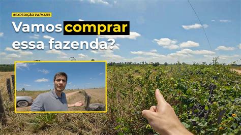 Visitamos Uma Fazenda Que Tem Possibilidade Real De Compra Expedi O