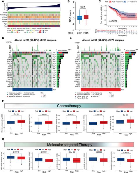 Frontiers M C Regulator Mediated Modification Patterns And Tumor