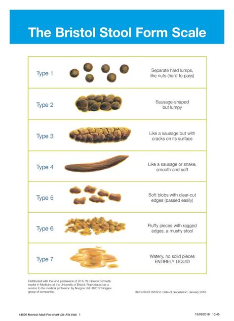 Bristol Stool Chart Faecal Continence Foundation Of Australia