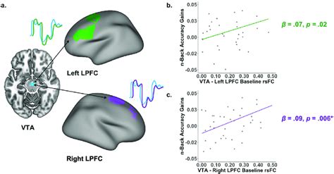 Correlations Between Functional Connectivity Between The Ventral Download Scientific Diagram