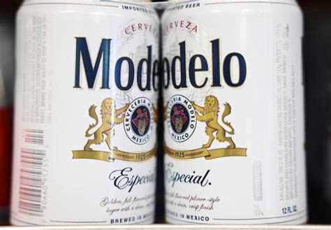 Opinion: Modelo beer’s success after Bud Light backlash represents a ...