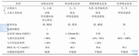 如何区分与人感染有关的4种衣原体？ 微生物 天山医学院