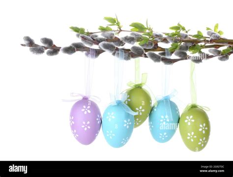 Pussy Willow Twigs With Easter Eggs Isolated On White Stock Photo Alamy