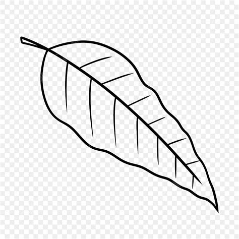 Long Leaf Clipart Transparent PNG Hd, Long Leaf Black And White Clipart ...