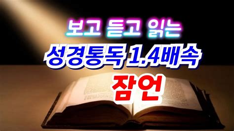 잠언통독14배속 성경듣기 성경읽기 성경낭독 읽어주는성경 성경통독 성경속독 빠른성경 잠들때 듣는 성경 성경전체