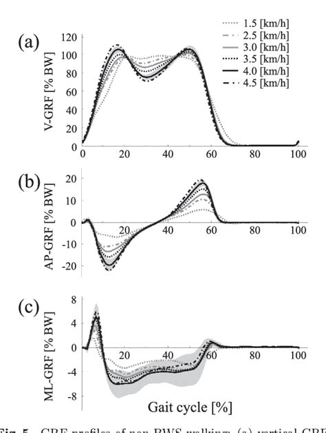 Figure From Gait Interventions With Partial Body Weight Support A