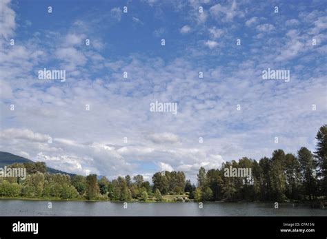 Nature park view Stock Photo - Alamy