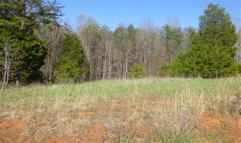 Pamplin Prince Edward County Va Farms And Ranches Homesites For Sale