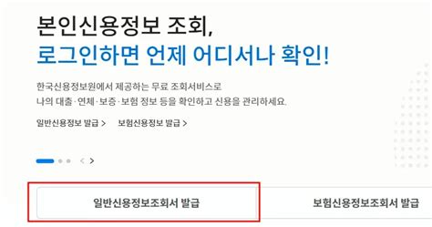 연체기록 조회 삭제 기간 확인 방법 단기장기통신 아이리스딜라이트