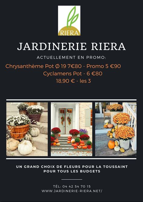 Les Plantes De Toussaint Jardinerie Riera