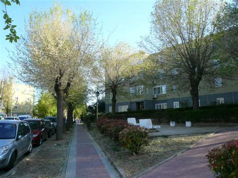 Los 10 Mejores Parques para Niños en Mejorada del Campo