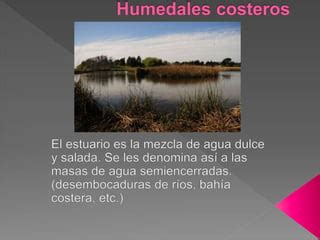 Humedales Costeros PPT