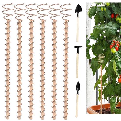 Honrane Electroculture Plant Stakes 1 6Pcs 17 Inch Wood Rods With