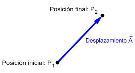 Vectores y escalares en física Neurochispas