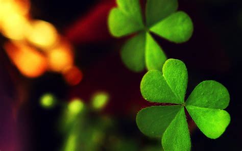 Four Leaf Clover Wallpapers - Wallpaper Cave