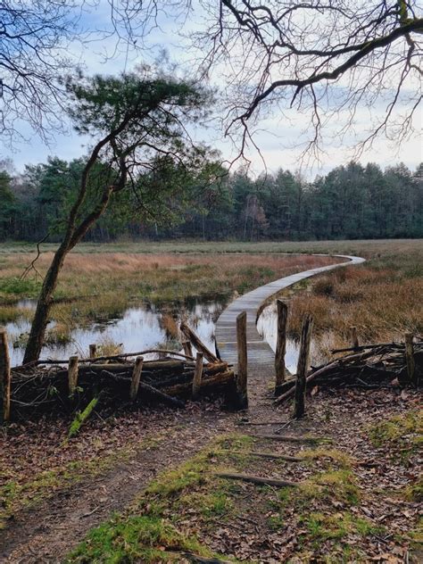 Door De Natuur Van Gerheserheide Wandelknooppunt Be