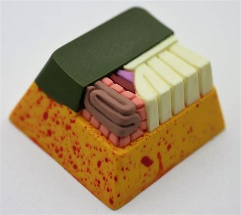 Hello Caps Ass Poo Shart Anatomy Keycap Archivist