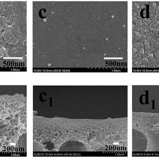 Surface Sectional Sem Micrographs Of Psf A Pp I T B Pp C Ppt