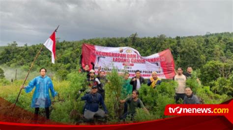 Polda Aceh Berhasil Musnahkan Ton Ganja Siap Panen