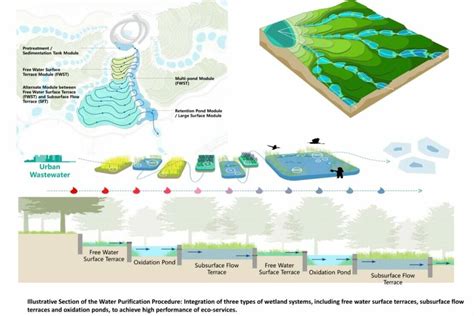 Turenscape Transforms A Waste Dump Into A Striking Nature Based