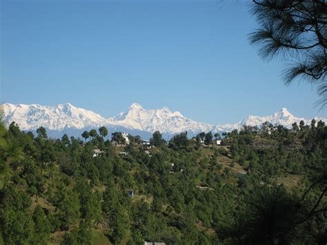 The Himalayas From Rainbow Guest House Kasar Devi Galiamantzury