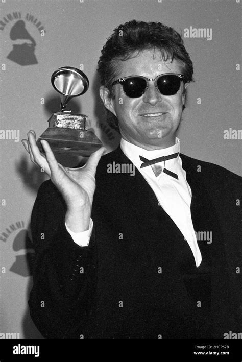 Don Henley At The 28th Annual Grammy Awards On February 25 1986 At The