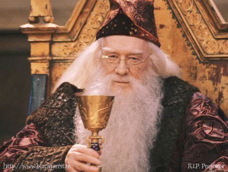 Richard Harris or Michael Gambon? Poll Results - Harry Potter - Fanpop