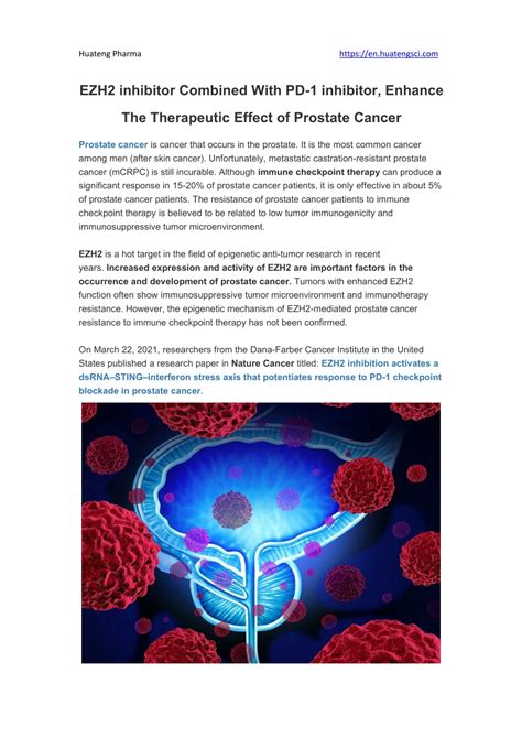 Ppt Ezh2 Inhibitor Combined With Pd 1 Inhibitor Enhance The