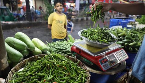 New Age Green Chilli Price Starts To Fall