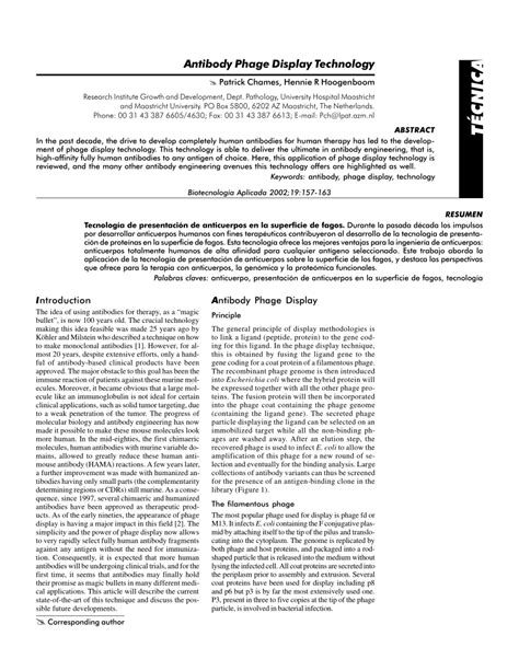 (PDF) Antibody Phage Display Technology