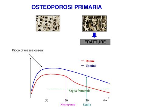 Ppt Malattie Del Metabolismo Minerale Powerpoint Presentation Free