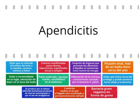 Sistema Digestivo Cada Oveja Con Su Pareja