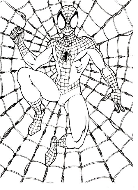 Disegni Di Spiderman Da Colorare Wonder Day Com Imagesee