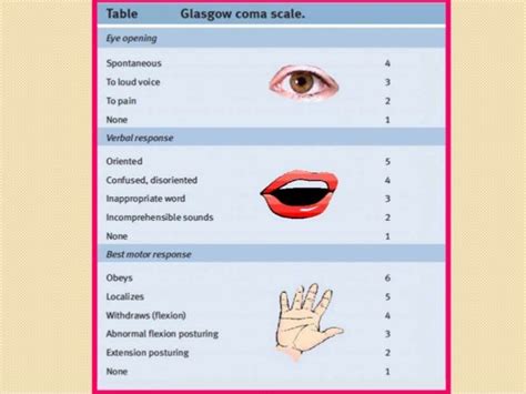 Glasgow Coma Scale Presentation