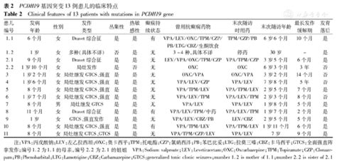 Pcdh19基因突变相关癫痫的临床和遗传学特点研究 中华实用儿科临床杂志