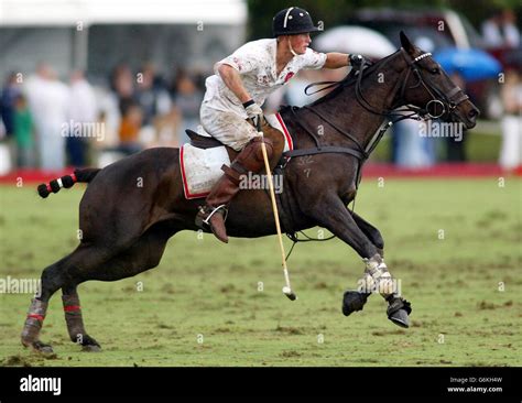 Prince Harry polo match Stock Photo - Alamy