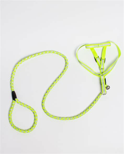 DOG HARNESS & LEASH BRAIDED – Cyberdog