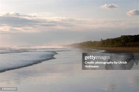 Ballena Marine National Park Photos and Premium High Res Pictures - Getty Images