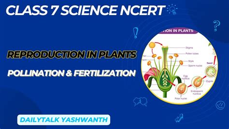 Class 7 Science Ncert Reproduction In Plants Pollination Fertilization Explained Cbse Icse