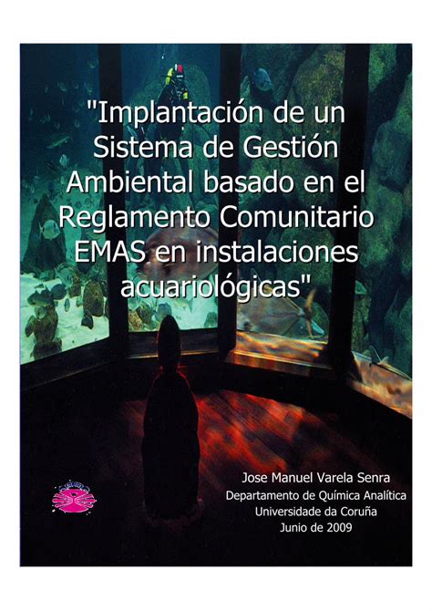 Pdf Implantación De Un Sistema De Gestión Ambiental Basado En