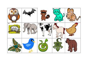 Day and Night Animal Sort by Erika's Excellence in Education | TpT