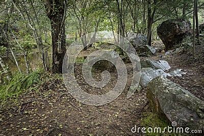 Ribeira Do Codes River Penedo Furado Next To Milreu Village Royalty