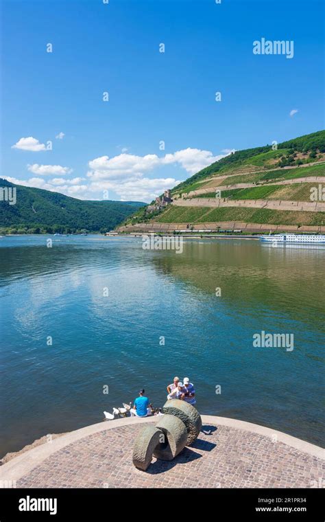 Bingen am Rhein, confluence of river Nahe (left) and Rhein (Rhine ...