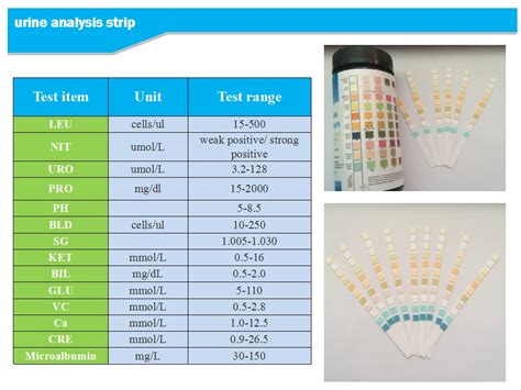 High Accuracy Urine Test Strips Urine Glucose And Protein - Buy Glucose ...