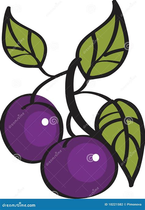 Vector Illustration Of Plums Stock Vector Illustration Of Sauce