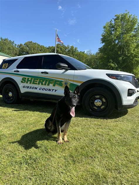 The Gibson County Sheriff Department in Indiana: A Leader in Law Enforcement 1