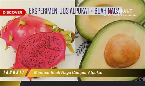 Intip Manfaat Buah Naga Campur Alpukat Yang Wajib Kamu Intip Discover